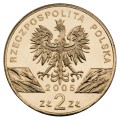 5puchaczB.jpg