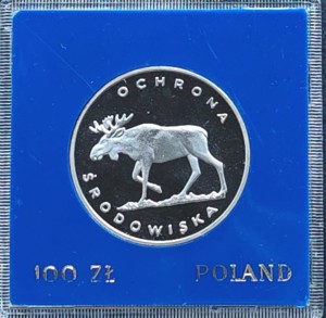 100 zł Łoś