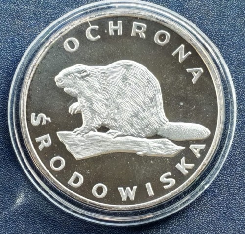 bobra.jpg