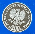 krzywb.jpg
