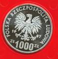 muzeumb.jpg