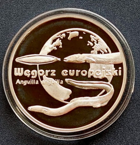 wegorza.jpg