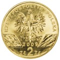 9jaszczurkaB.jpg