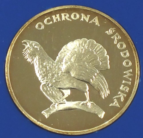 gluszec2A.JPG