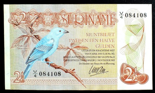 surinam13a.JPG
