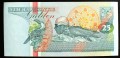 surinam11b.JPG