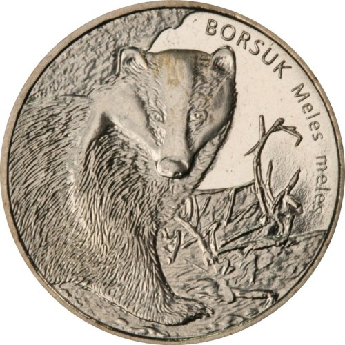 1borsuk.jpg