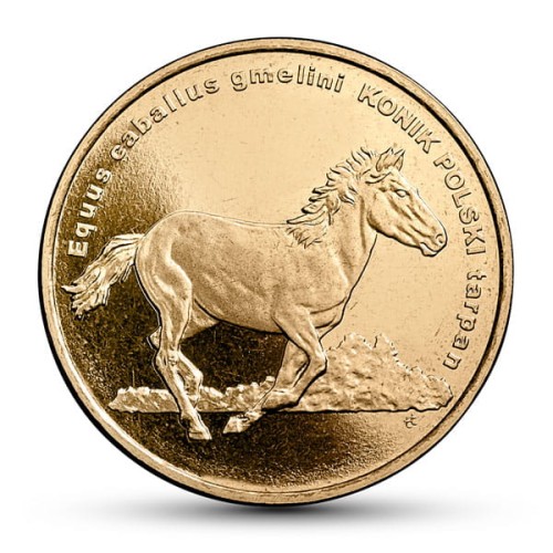 4konik.jpg