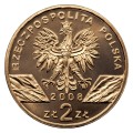 8sokolB.jpg