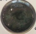 r121a.jpg