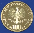 gluszec2B.JPG