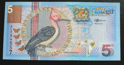 surinam3a.JPG