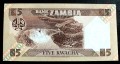 zambia2b.JPG