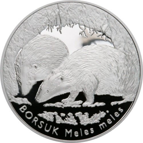 1borsuk.jpg