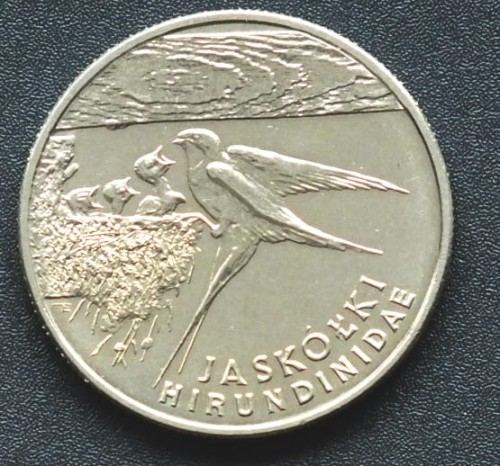 jaskolkiA.JPG