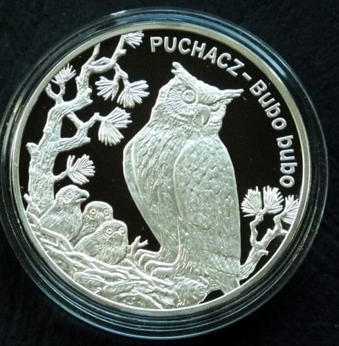 puchaa.JPG