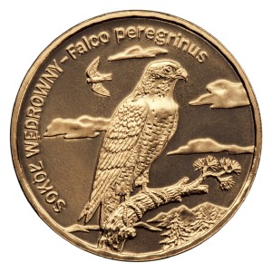 2 zł Sokół wędrowny (łac. Falco peregrinus)