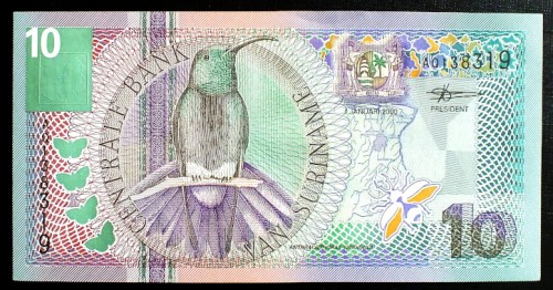 surinam14a.JPG