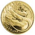 9jaszczurka.jpg